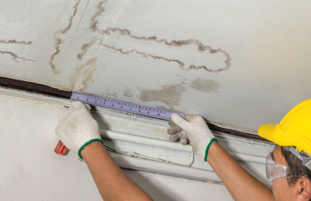 Reliable Flood Cleanup contractor in Passaic, NJ by Water Damage Irwin